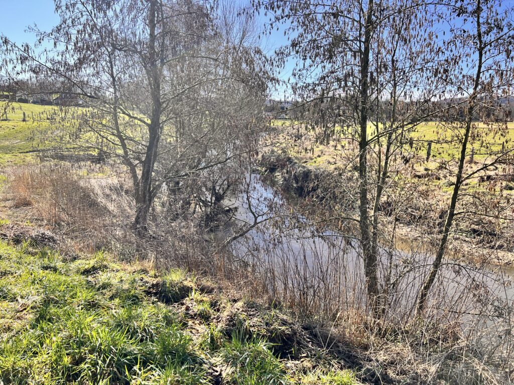 Omgeving Mechelen 1